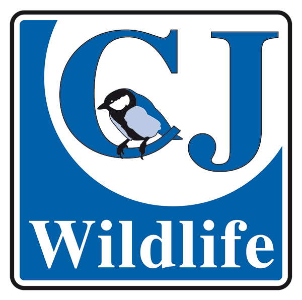 CJWildlife The Art of Design Magazine